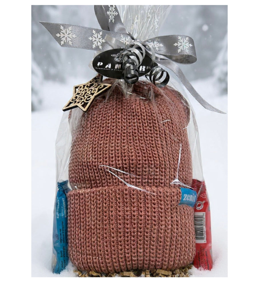 
                  
                    Ensemble cadeau- Tuque Zenit et collations
                  
                